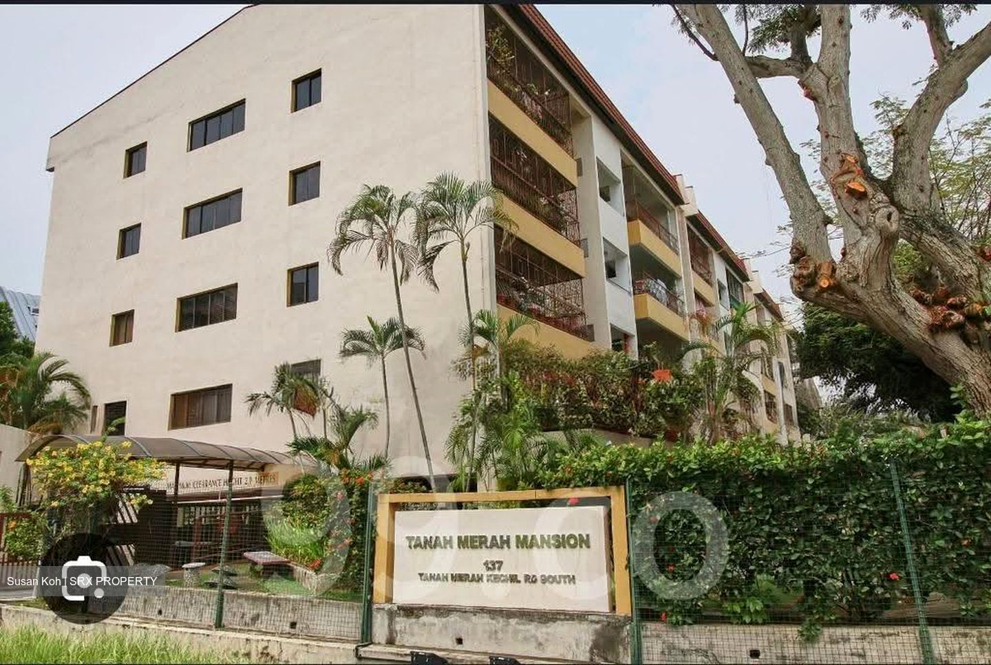 Tanah Merah Mansion (D16), Condominium #608929501